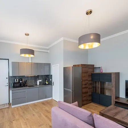 Elegant Center With Free Parking By Polo Apartment Kaunas